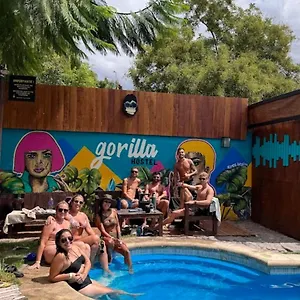  Albergue Gorilla